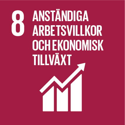 Mål 8 anständiga arbetsvillkor och ekonomisk tillväxt