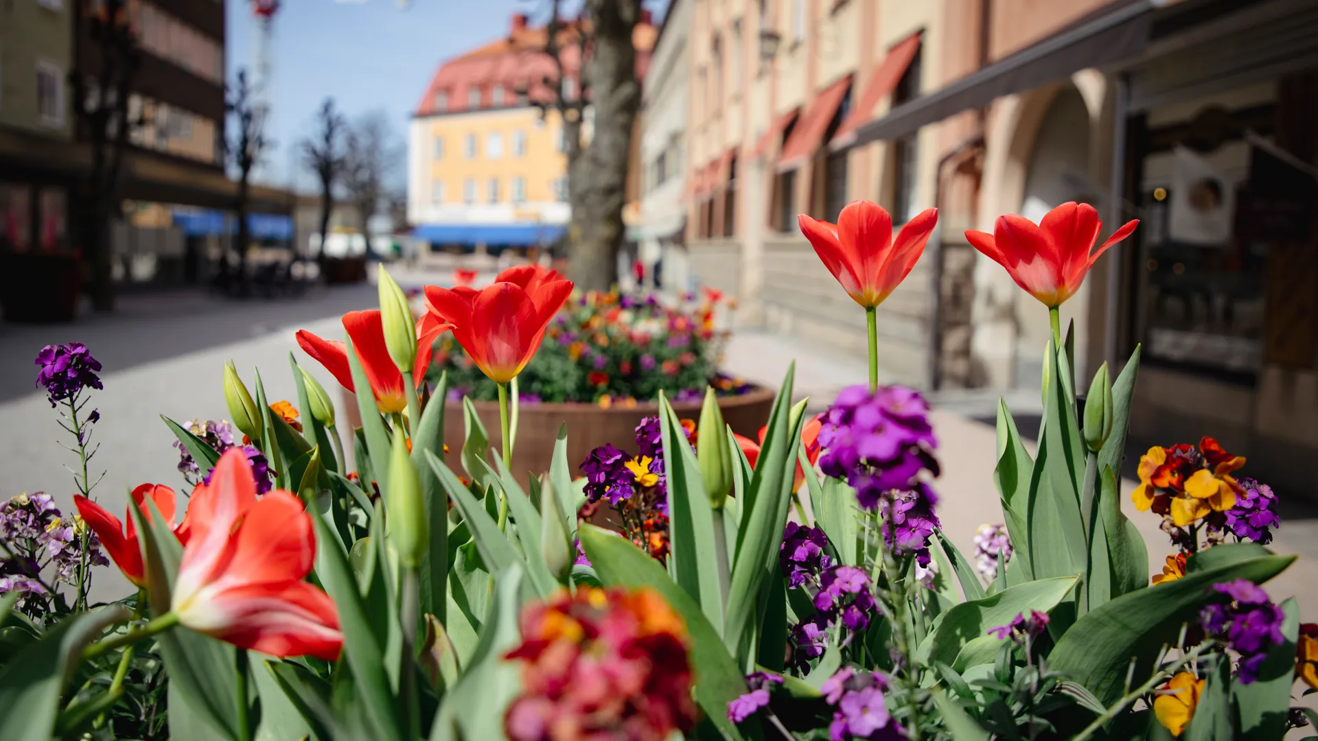 En bukett blommor som ligger i gräset.